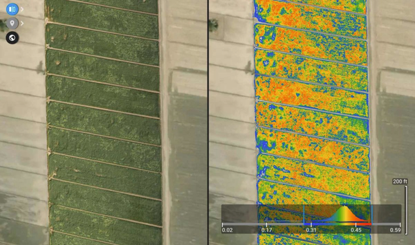 Case Study: How Drones Analyze Crops for Better Yields - Volatus Drones